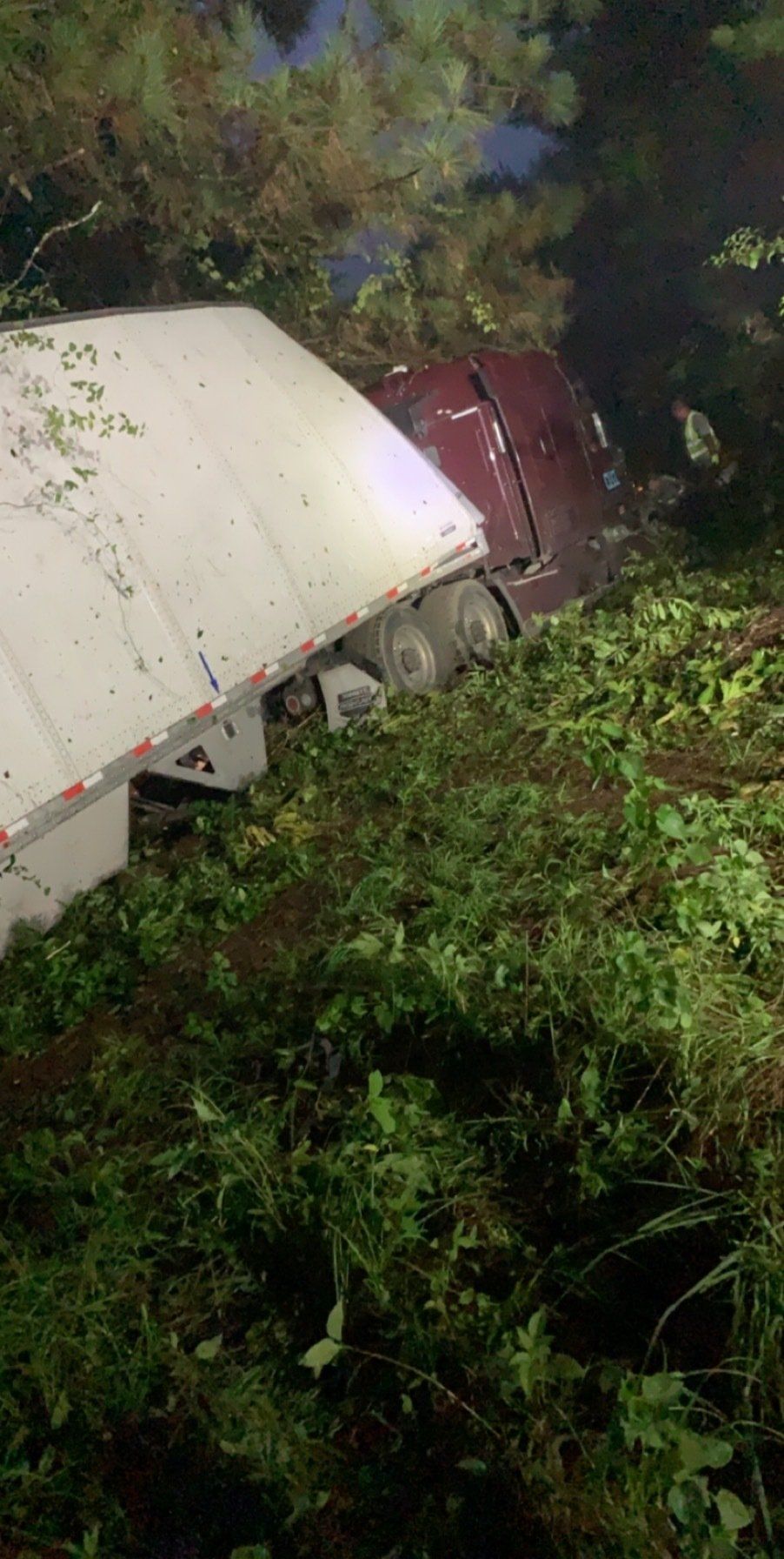 A semi-truck trailer is off the road, partially in dense green foliage, with the cab hidden in the dark.