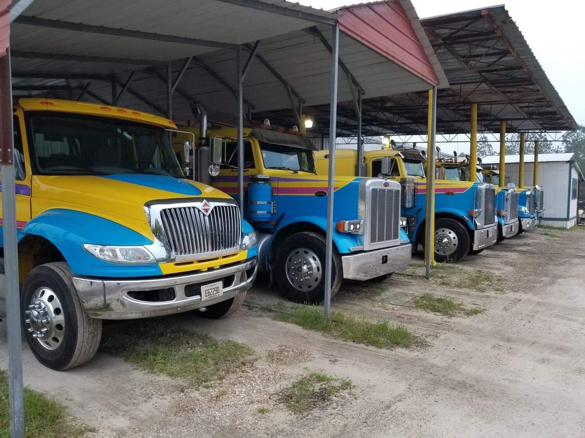 Blue and yellow semi-trucks parked under a covered shelter.