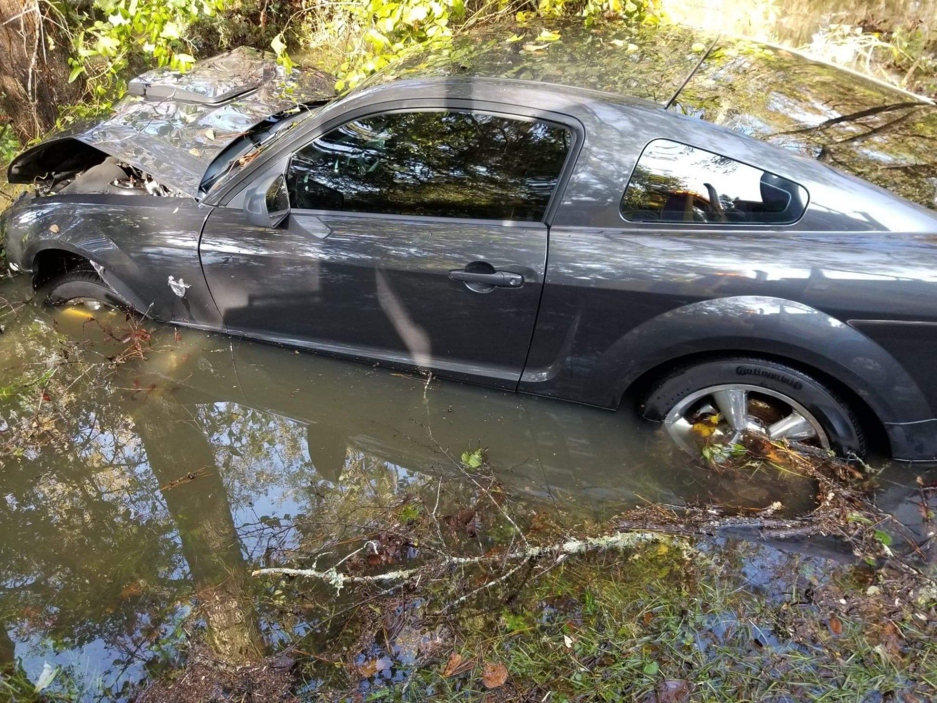 Gray Mustang partially submerged in water, in a wooded area. Car's front end damaged.
