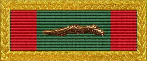 Republic of Vietnam Meritorious Unit Citation Gallantry 21 JAN, 1967 Republic of Vietnam Meritorious Unit Citation Gallantry 21 JAN, 1967