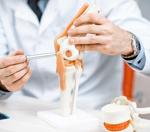 Doctor Showing Knee Joint — Pickerington, OH — Lisa Lowery, M.D.