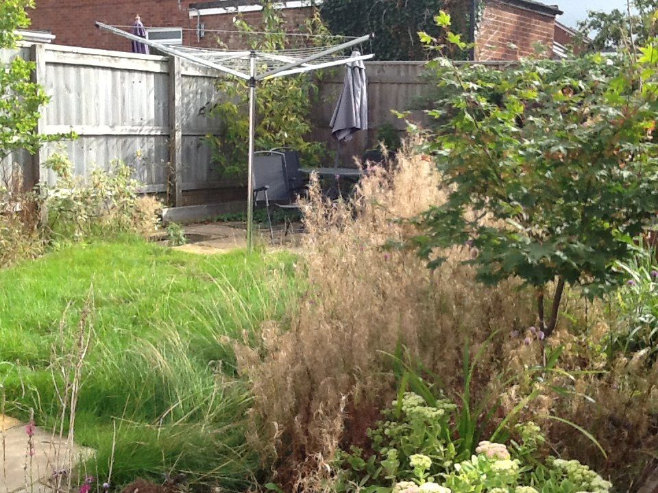 garden cleaning