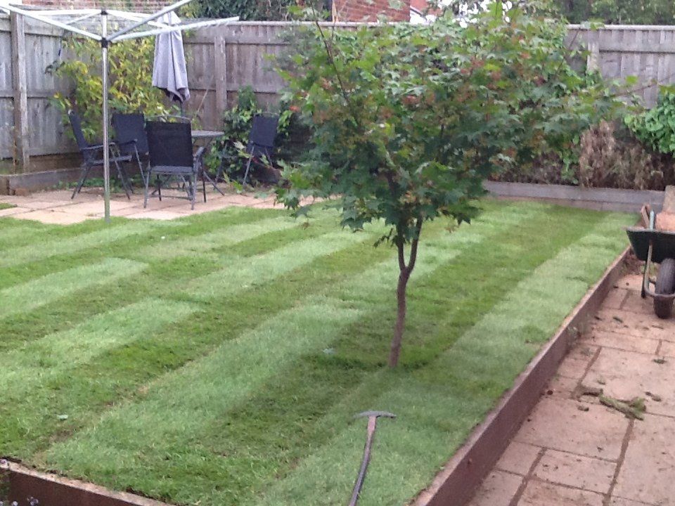lawn maintenance