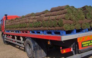 turf repairs