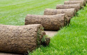 turf layers