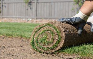 turfing