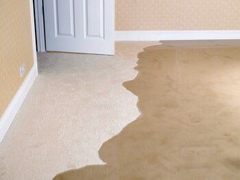 Water Extraction Service — Restore Your Floor & Prevent Flood Damage in Fishers, IN Water Extraction Service — Restore Your Floor & Prevent Flood Damage in Fishers, IN