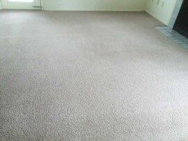 Room with Carpet in Fishers, IN Room with Carpet in Fishers, IN