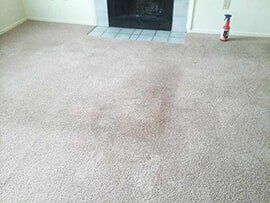 Room with Carpet in Fishers, IN Room with Carpet in Fishers, IN