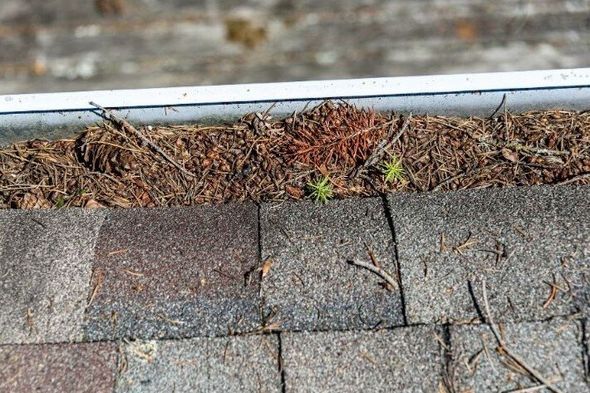 Dirty Gutter Needing cleaning by Handyman Surrey