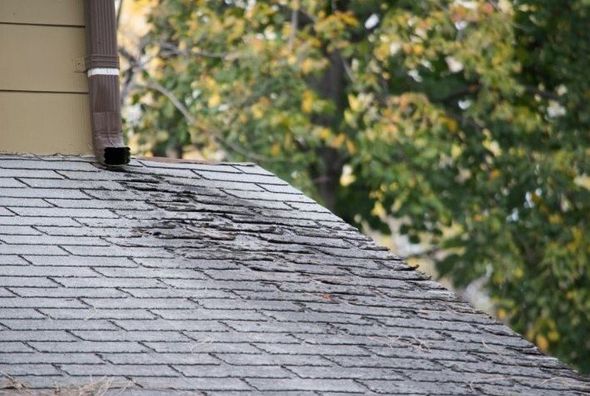 Roof needing gutter to be fixed and roof surface cleaned