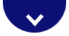 Down Arrow Icon