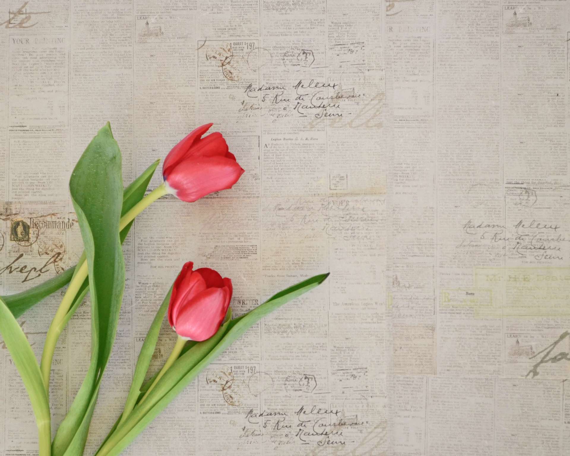 Jewish Obituaries in San Diego, CA and chula vista obituaries candles