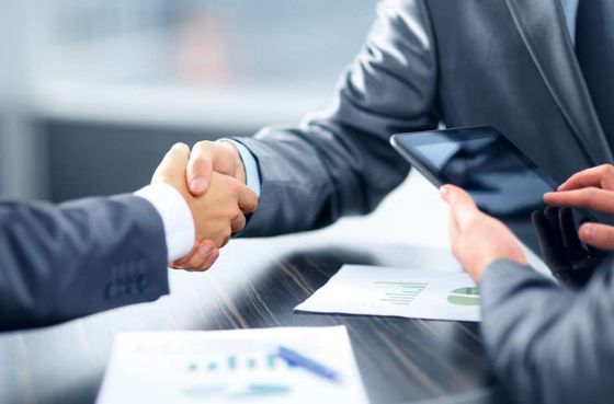 professionals shaking hands