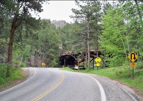 A road going through a forest with a tunnel in the background