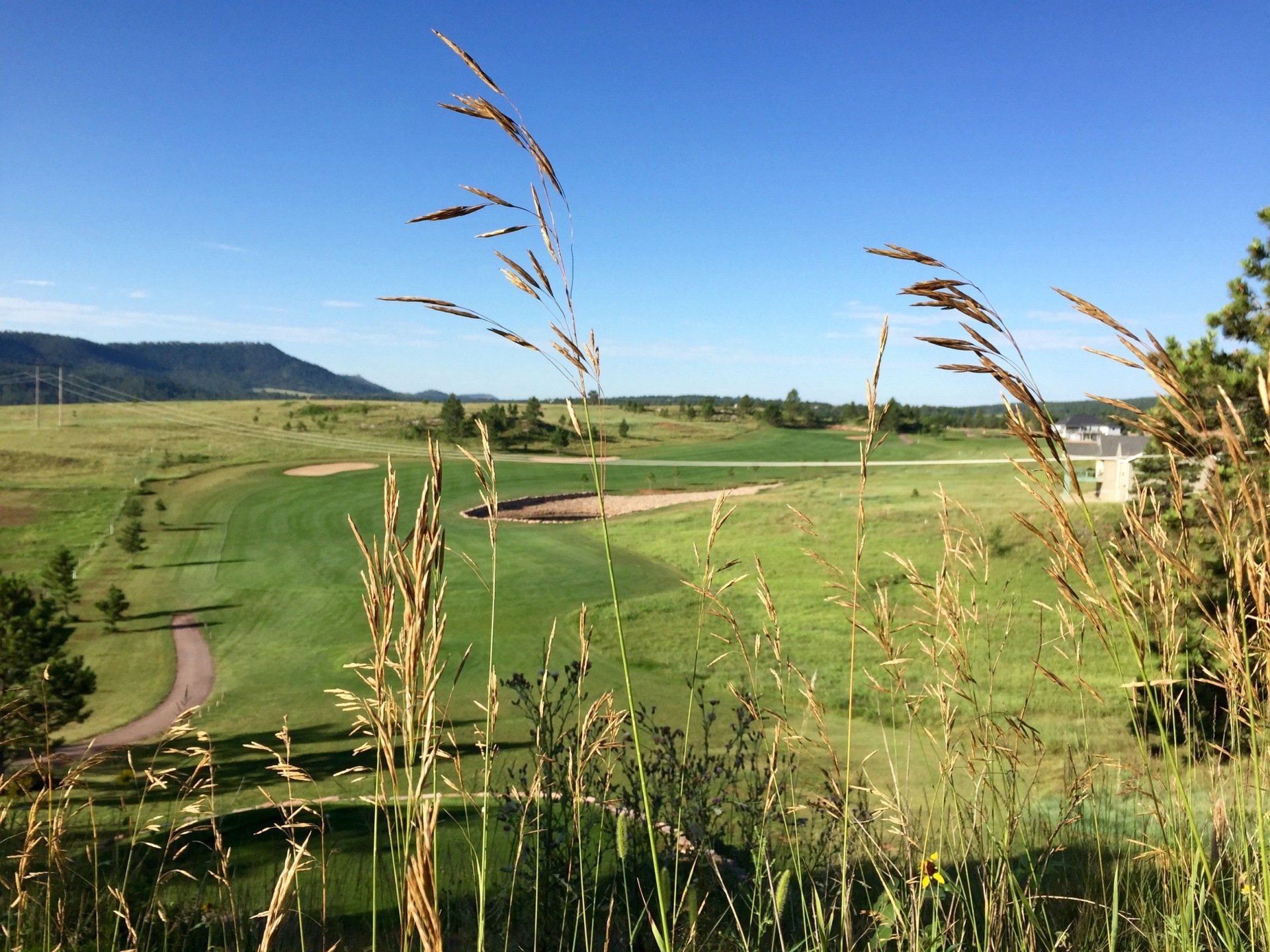 A view of a golf course from a hill with tall grass in the foreground.
