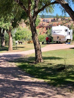 A rv is parked in a grassy area next to a tree.