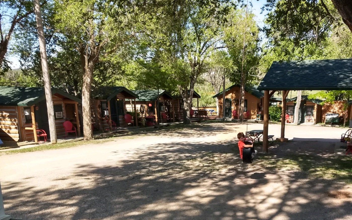 A boy is sitting on a swing in a park surrounded by trees.