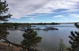 A large body of water surrounded by trees on a sunny day.