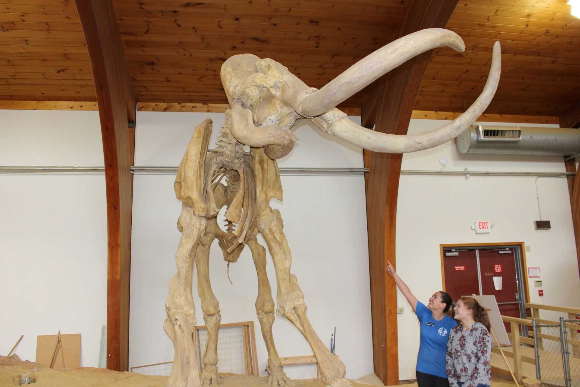 Two women are looking at a mammoth skeleton in a museum
