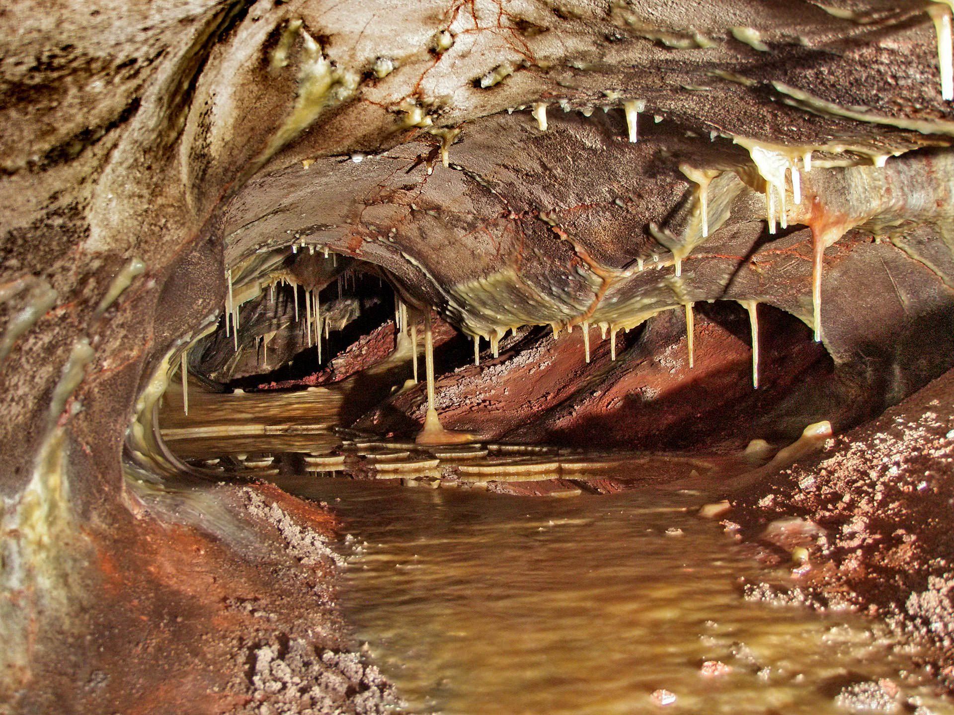 A cave with a stream of water coming out of it