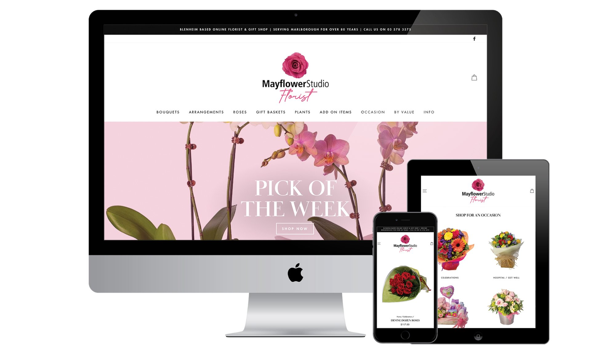 Mayflower Studio website designed by Vanilla Hayes creative graphic design studio in Blenheim, Marlborough, New Zealand