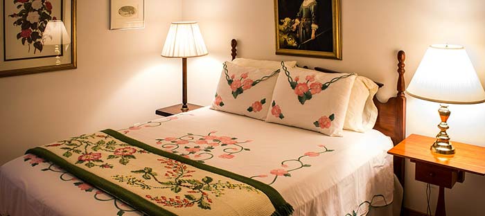 Cozy Guest Bedroom