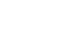 Emergency vets