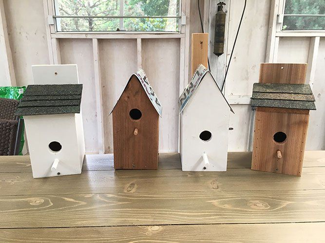 birdhouse builder