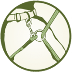 Depiction of final stage of the walkie when attached