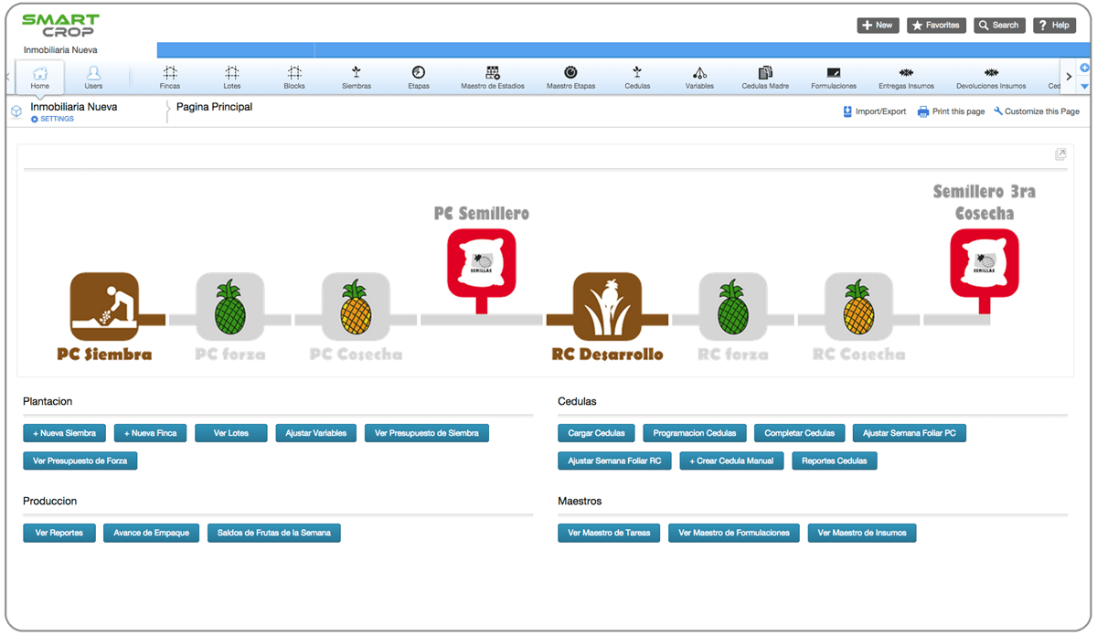 Diagrama de flujo del proceso: etapas denominadas “PC Siembra” hasta “Beneficio Descas”.