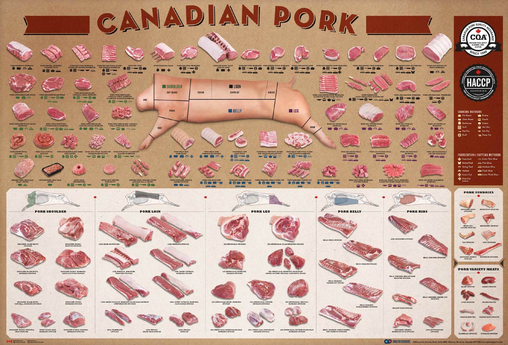 A detailed infographic illustrating various cuts of Canadian pork, featuring a central diagram and categorized cut labels.