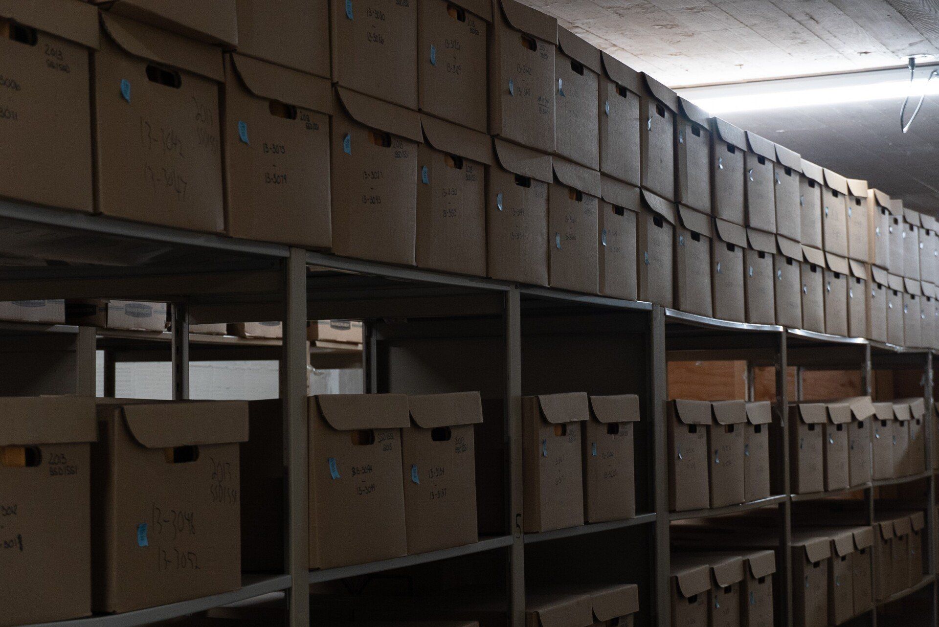 shelves of document storage boxes