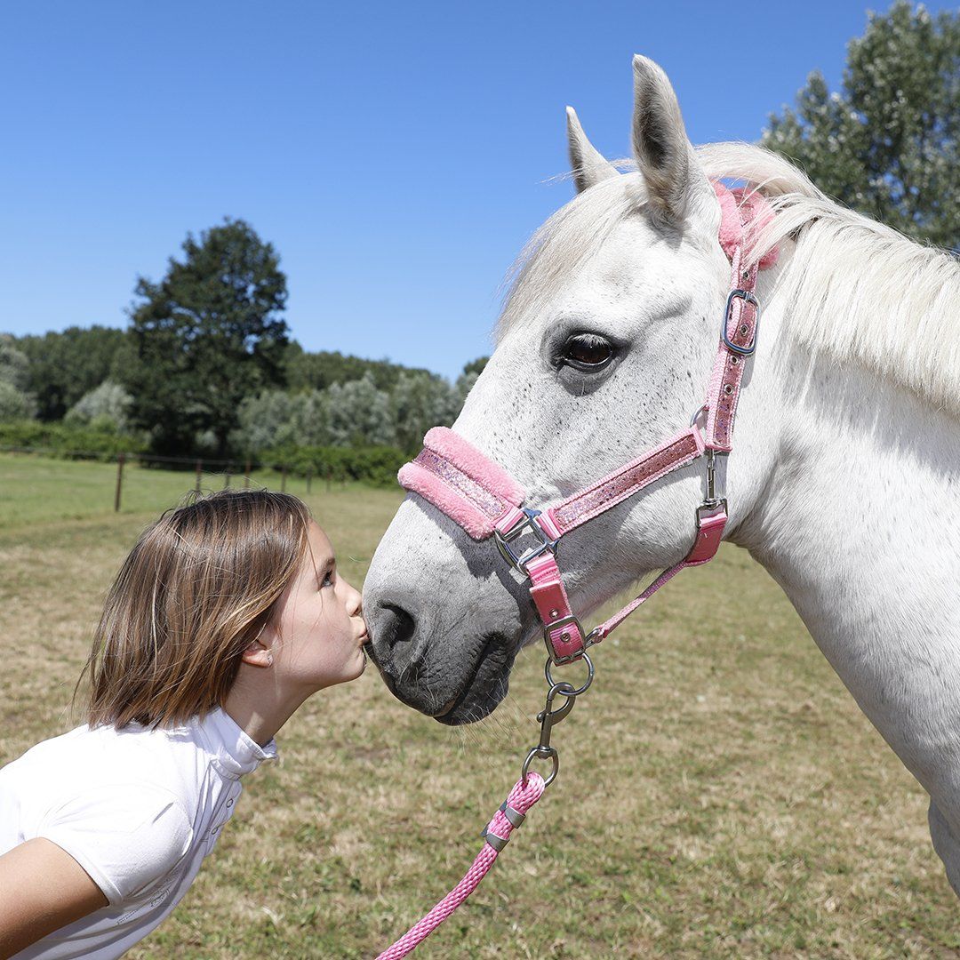 Fotoshoot manege EEPM Fotoshoot met je favoriete pony bij manege EEPM
