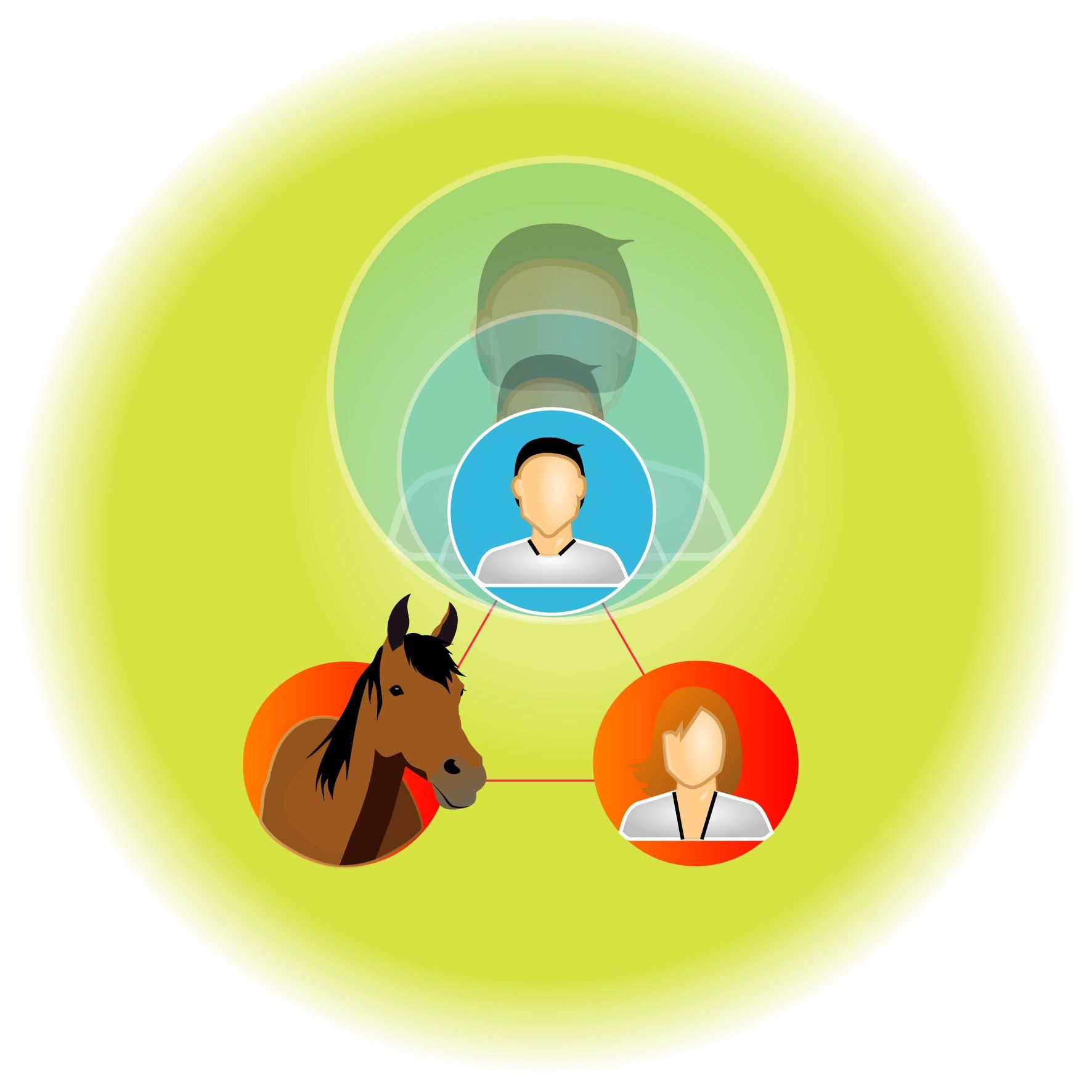 paard als spiegel coach