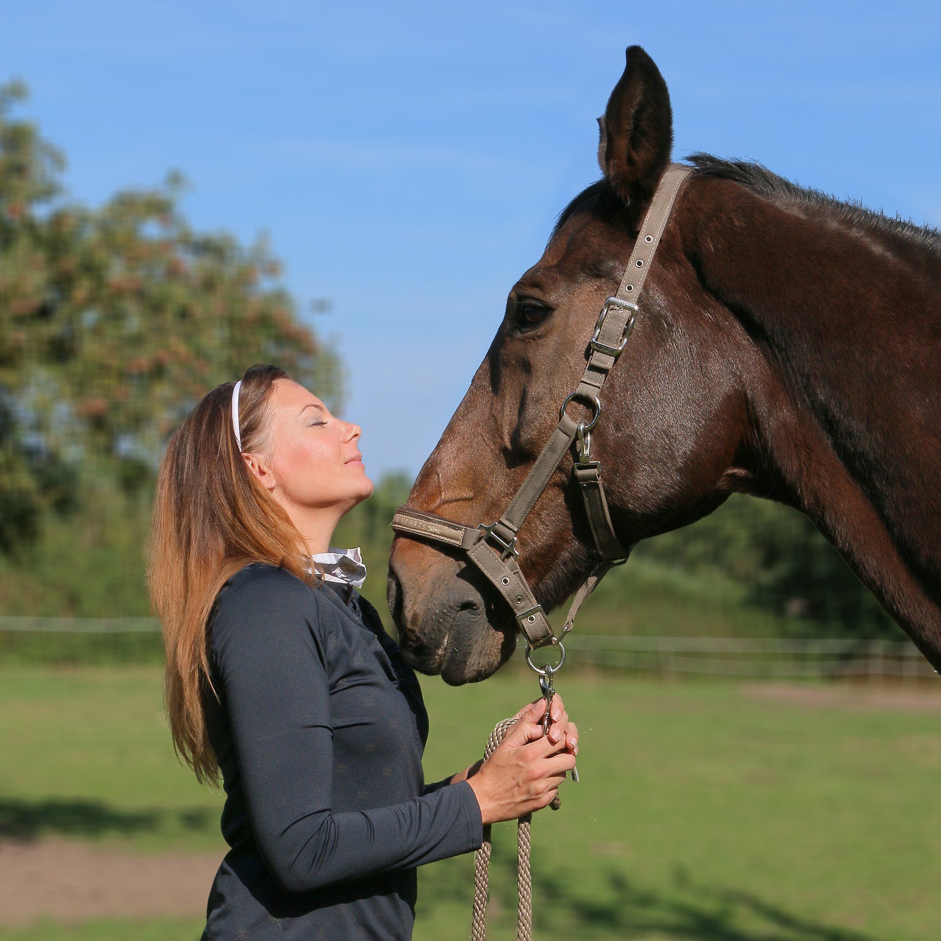 paard als spiegel coach