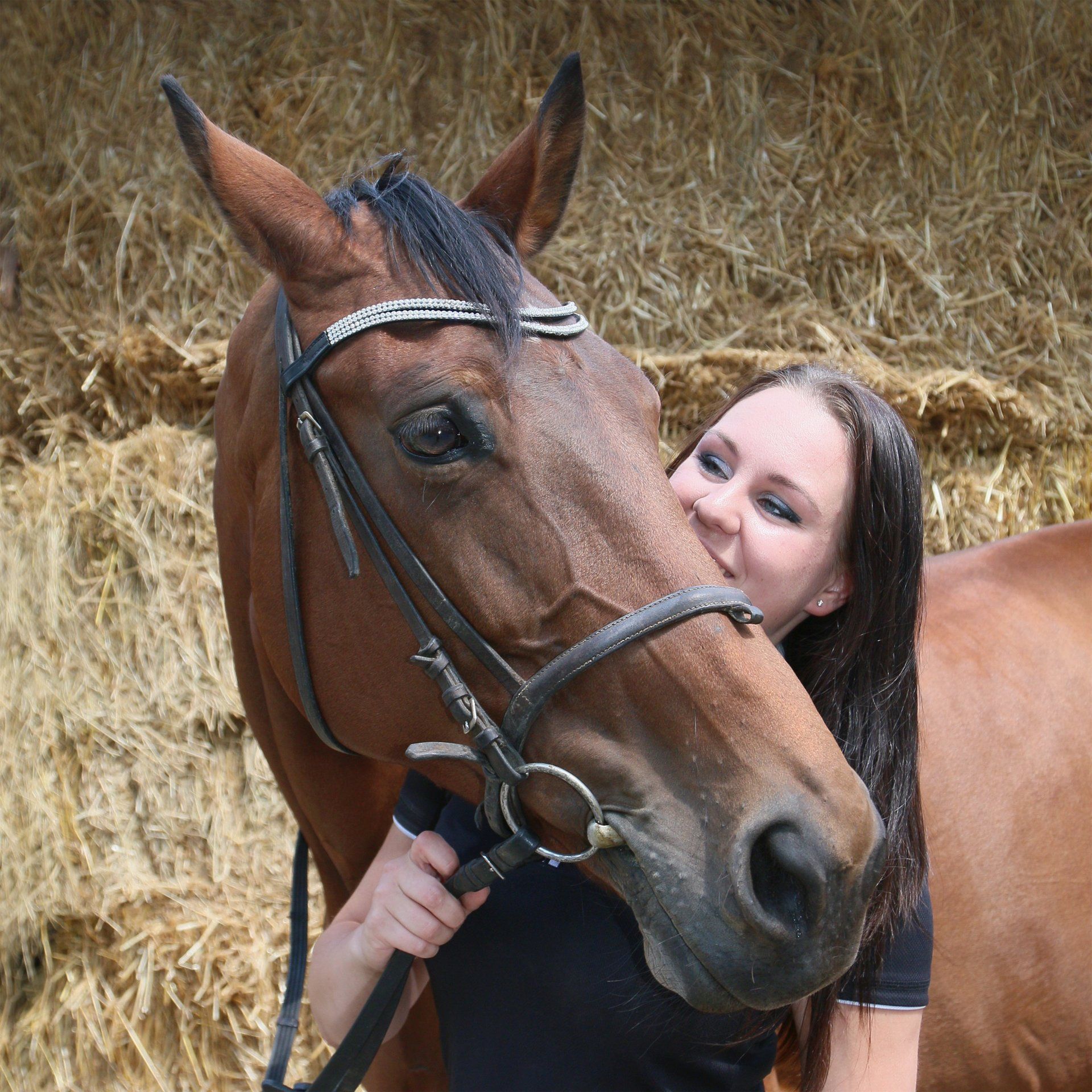 Je favoriete paard of pony leasen Je favoriete manege paard of pony leasen