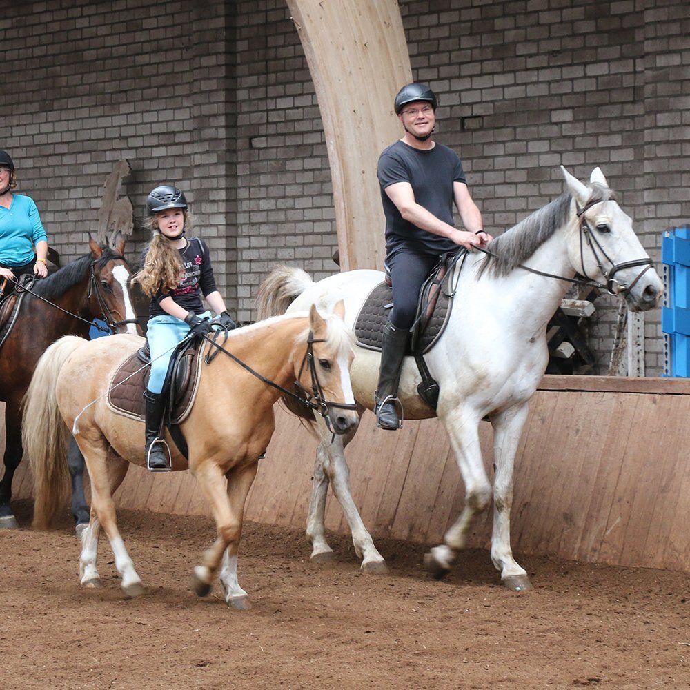Ponyrijden en paardrijden voor beginners