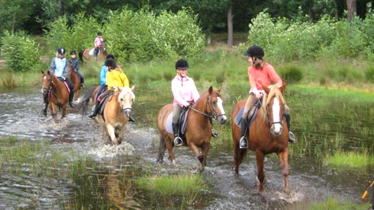 Direct de natuur in voor mooie buitenritten