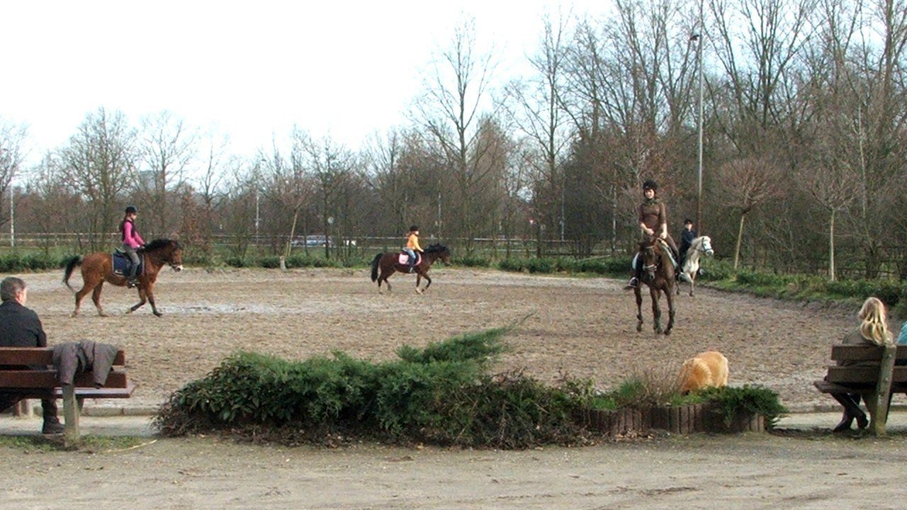 Twee binnenbakken 20x40 m en en buitenbak 25x50 m