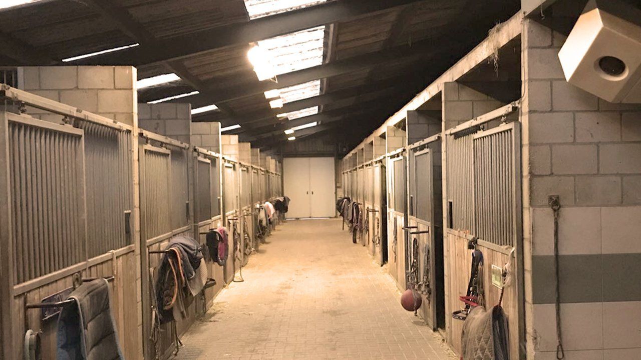 Keuze uit diverse soorten boxen voor paard en pony