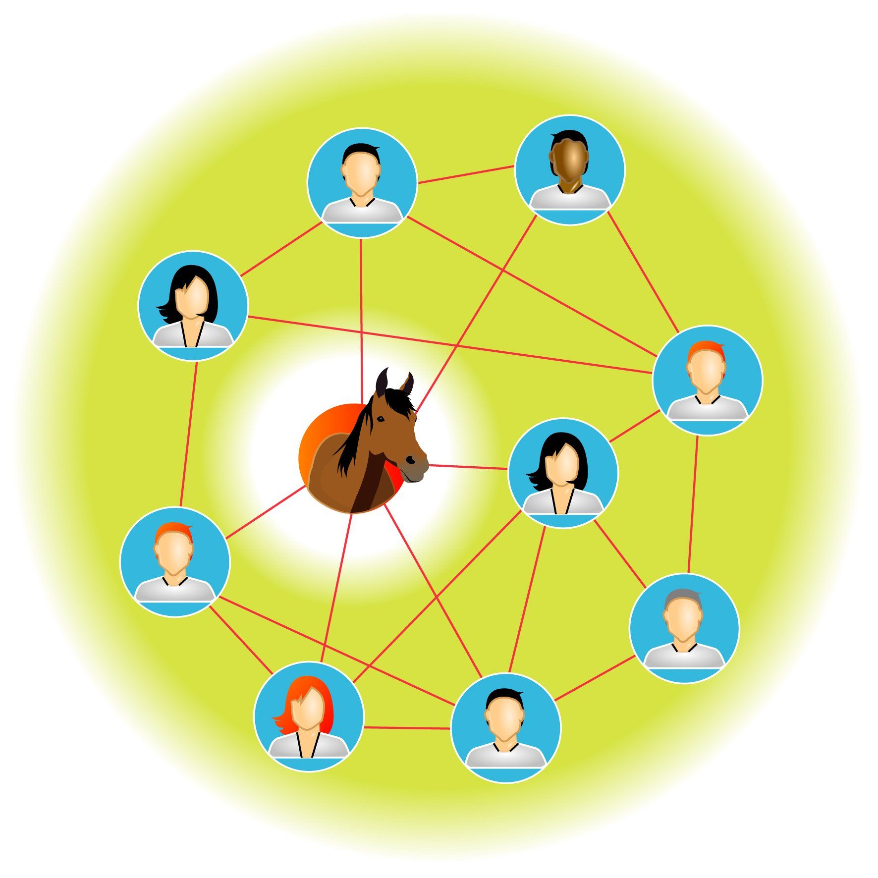Teamcoaching met paarden