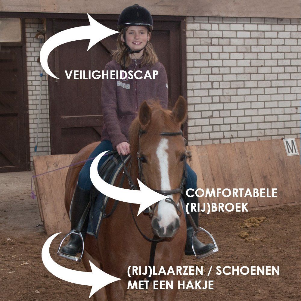 Kledingtips voor je eerste paardrijles Kledingtips voor je eerste paardrijles