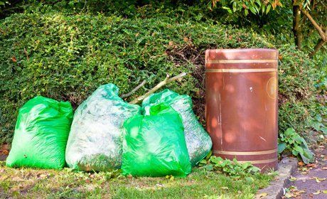 garden waste