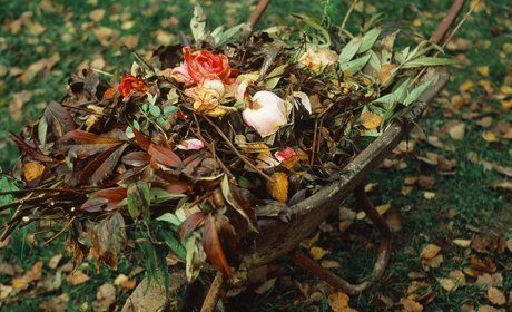 garden waste