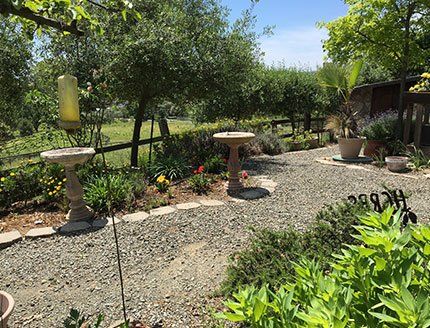 Fruit and Vegetable Gardens for Guests