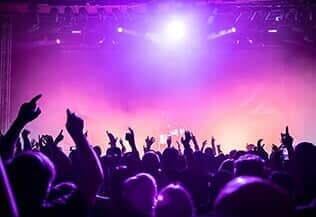 Concert Party — Corporate Limousine Service in Tampa, FL