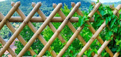 timber fence