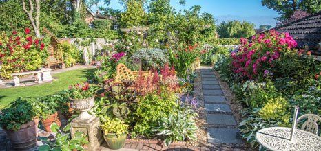 beautiful garden