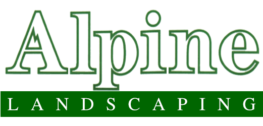 Alpine Landscapes